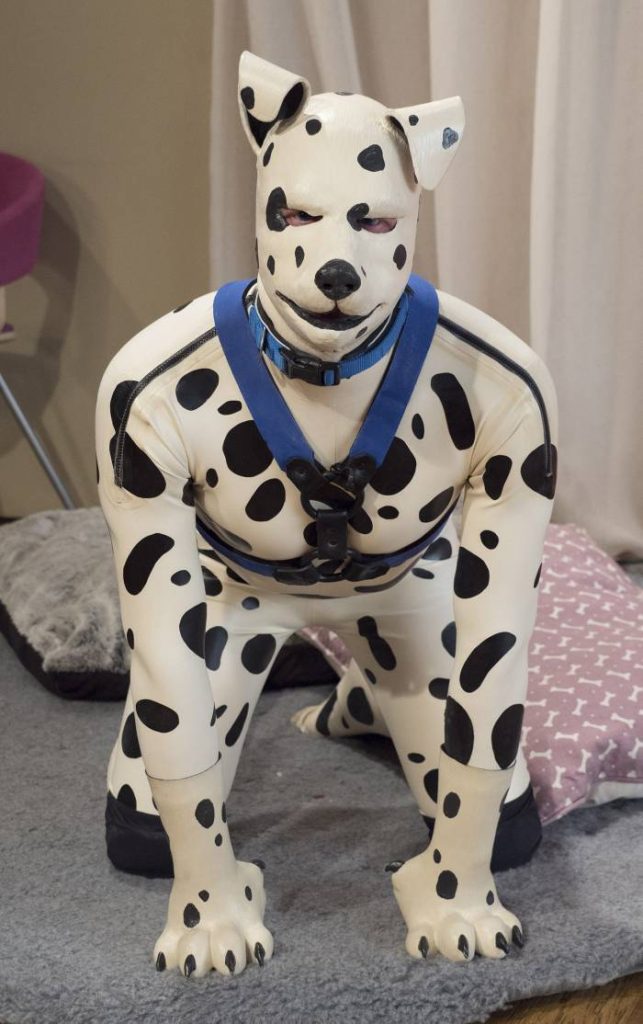 Unveiling the Fascination: Japanese Man Collie Dog Costume